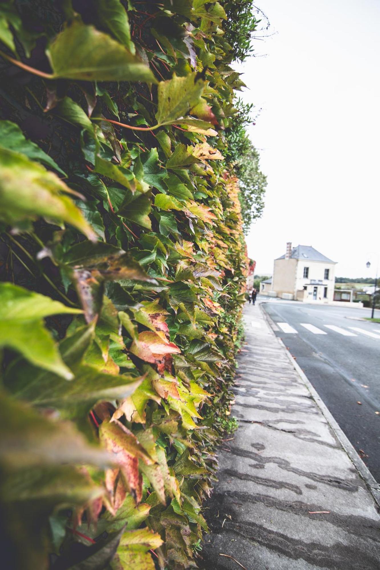 Apartamento Le Regisseur Brissac-Quince Exterior foto